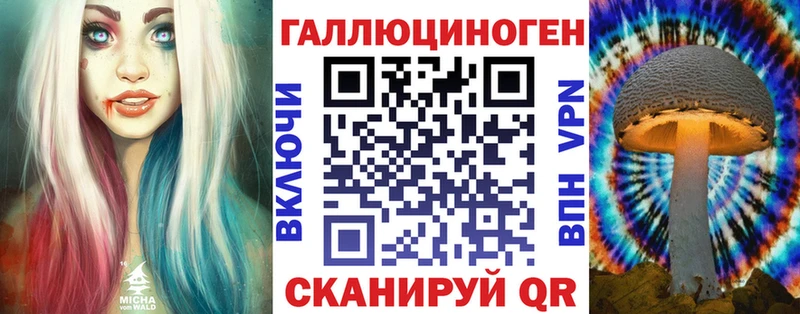 цена Неман Псилоцибиновые грибы Psilocybe